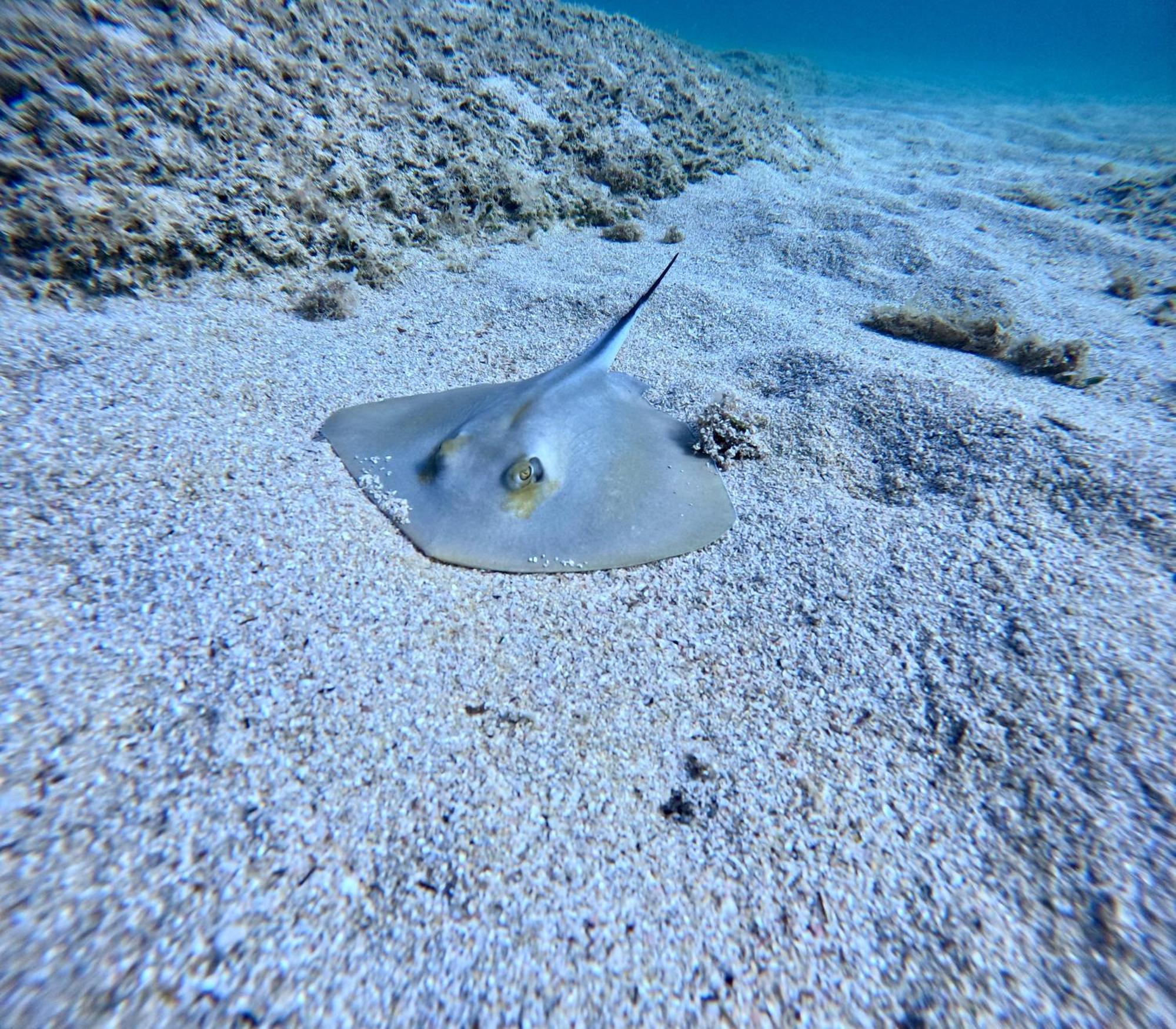 Mena Me - Casa Vacanza - Salento パラービタ エクステリア 写真